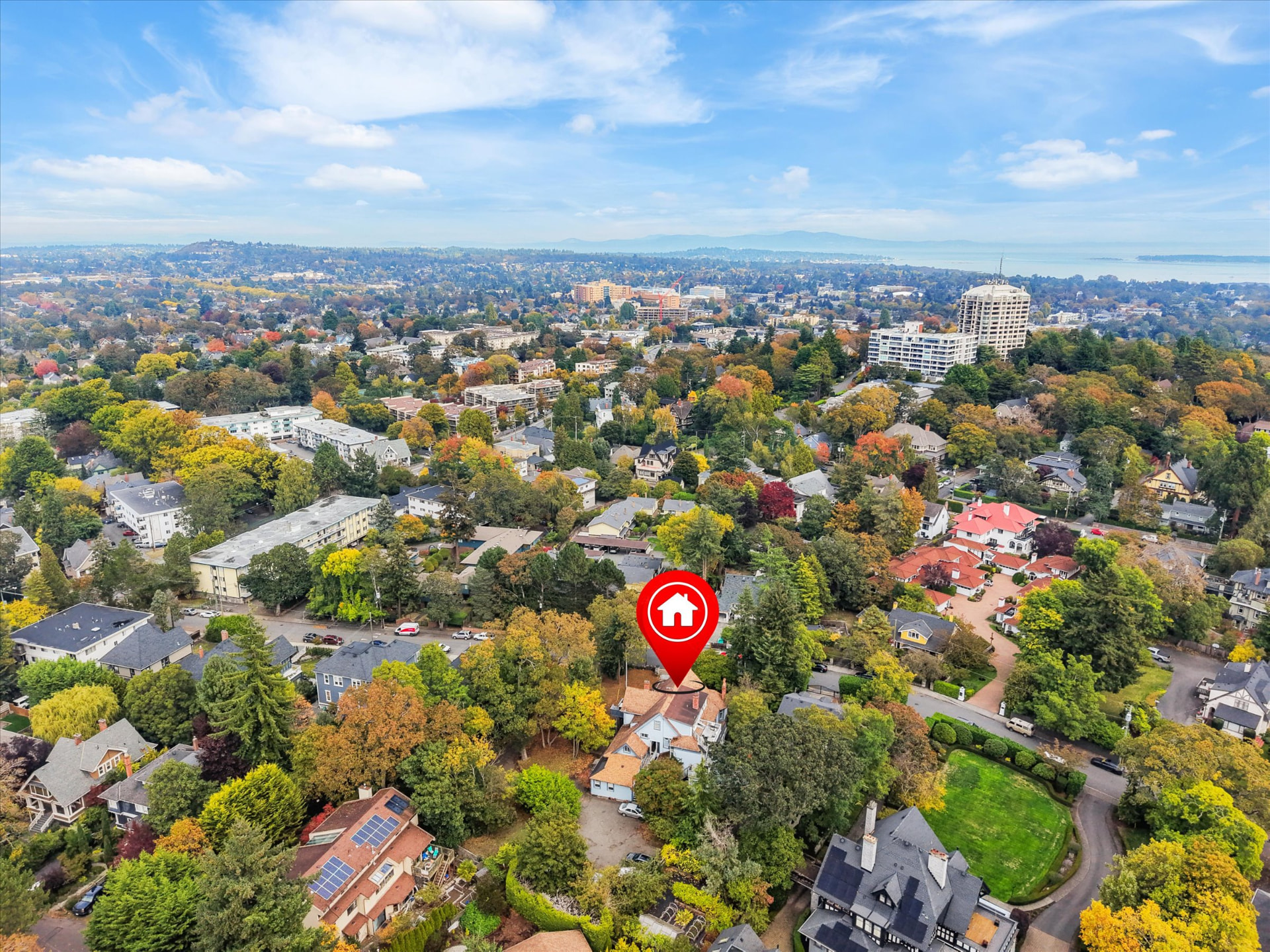 Aerial view of 930 Pemberton surrounded by mature trees and heritage homes